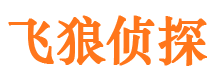 岭东市私家侦探